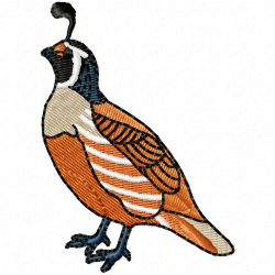 Small Birds Embroidery Design 2